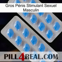 Gros Pénis Stimulant Sexuel Masculin 23